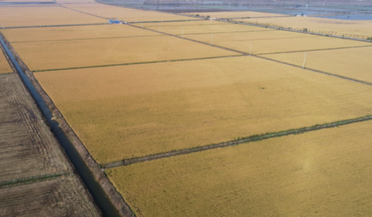 上海大型農(nóng)業(yè)集團(tuán)應(yīng)用標(biāo)領(lǐng)wms系統(tǒng)，完善農(nóng)資倉(cāng)儲(chǔ)體系_wms倉(cāng)儲(chǔ)管理系統(tǒng)